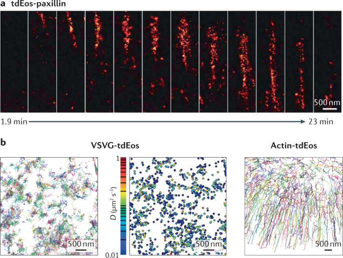 Single Molecule Localization Microscopy Nature Reviews Methods Primers