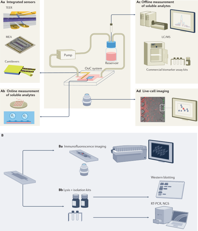 System Modularity Chip for Analysis of Rare Targets (SMART-Chip): Liquid  Biopsy Samples