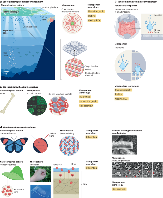 Multilevel Hierarchical Topographies by Combined Photolithography and  Nanoimprinting Processes To Create Surfaces with Controlled Wetting
