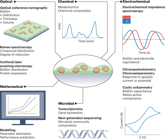 Microbial electrodes | Nature Reviews Methods Primers
