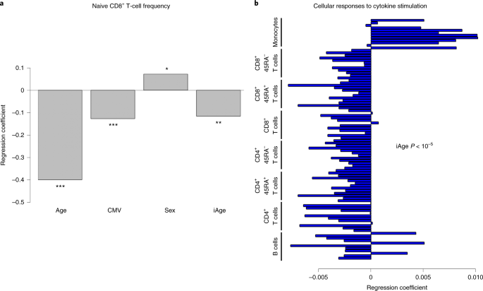 An Inflammatory Aging Clock Iage Based On Deep Learning Tracks Multimorbidity Immunosenescence Frailty And Cardiovascular Aging Nature Aging
