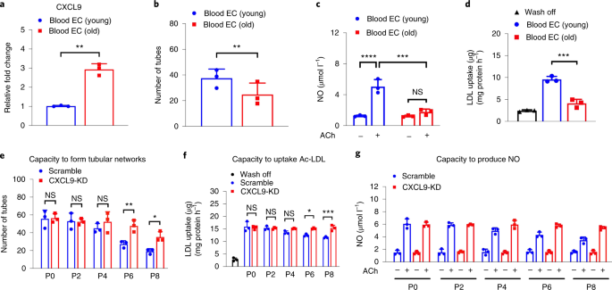 An Inflammatory Aging Clock Iage Based On Deep Learning Tracks Multimorbidity Immunosenescence Frailty And Cardiovascular Aging Nature Aging