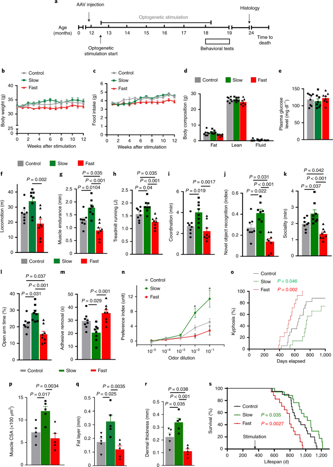 GnRH pulse frequency and irregularity play a role in male aging