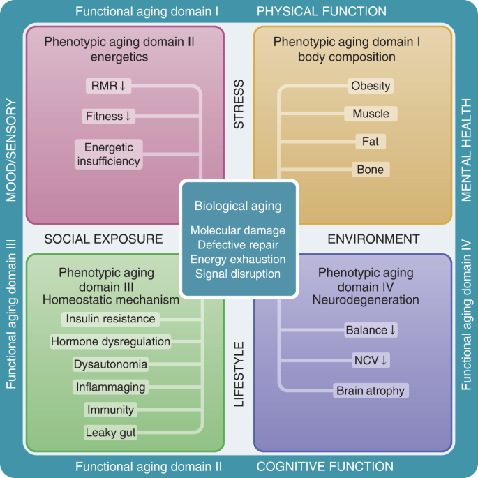Fig. 1: Conceptual framework underpinning the study design.