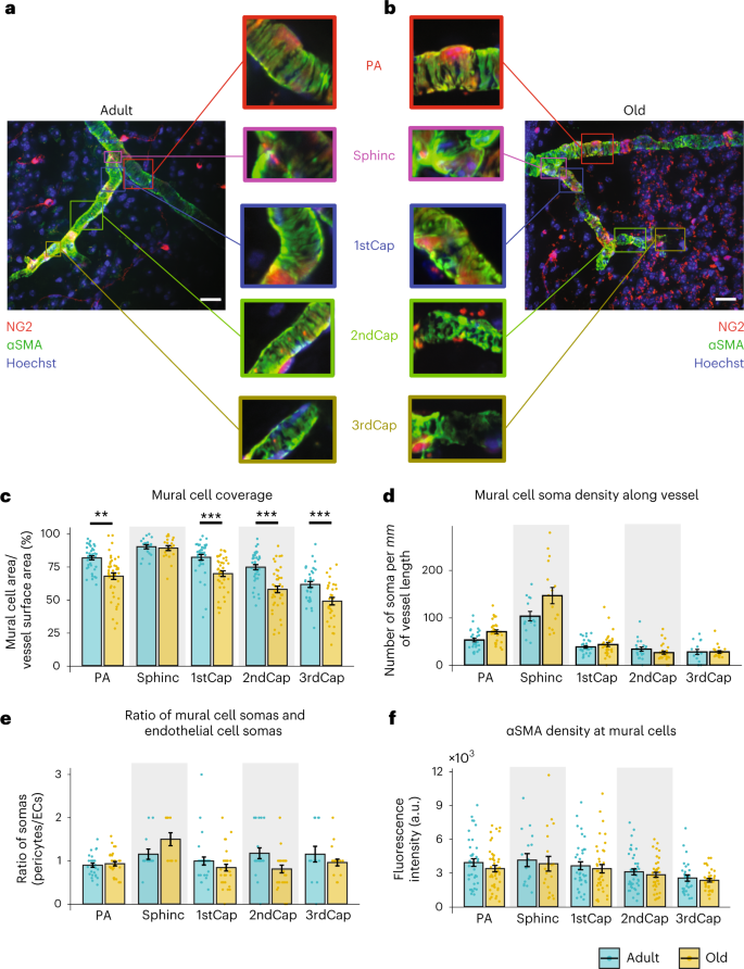 PP12 Final - asdasd - SCALABLE AND EFFICIENT BIOMARKER VISUALISATION  TECHNIQUES FOR EARLY-PHASE - Studocu