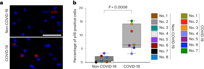 discussion paper in research figure 3