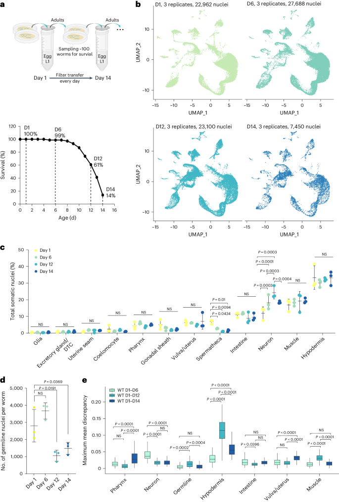 Fig. 3: Aging cell atlas under physiological conditions.