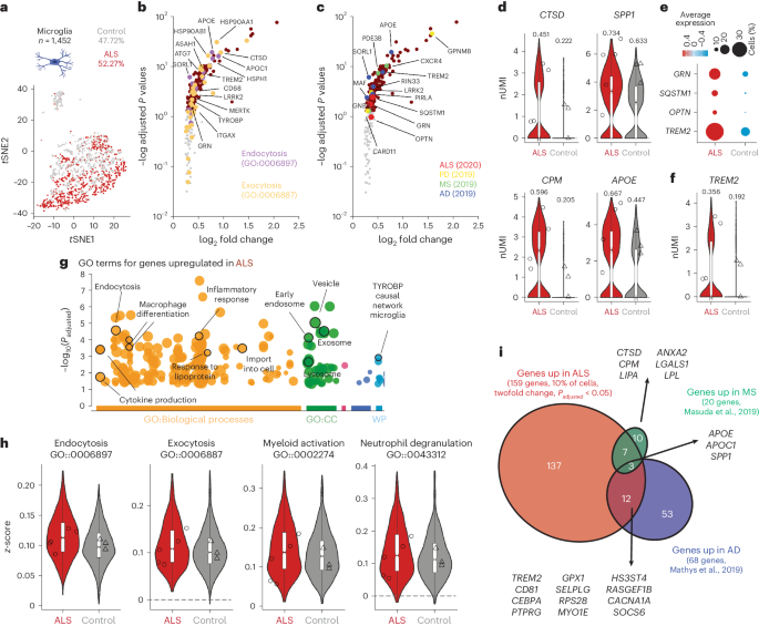Fig. 6: DAM signature in ALS.