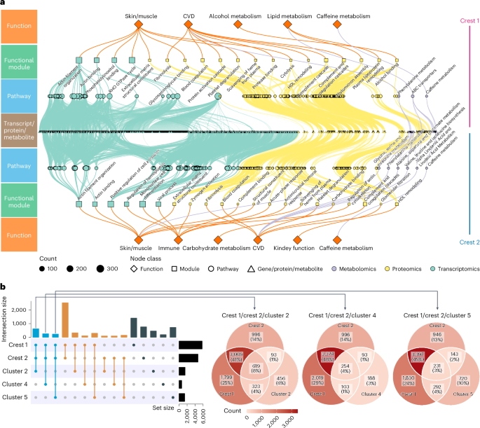 research paper on alcohol dehydrogenase figure 5