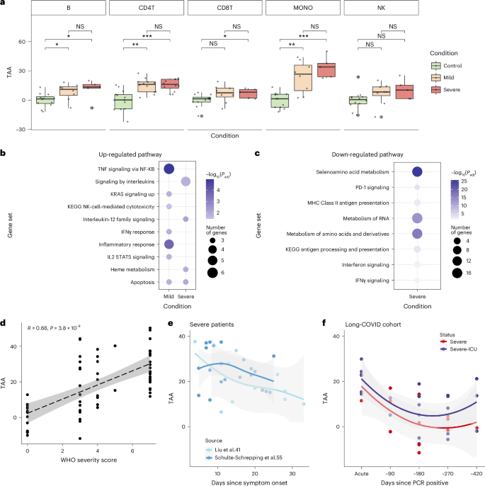 Fig. 4: Monocytes undergo substantial age acceleration in response to COVID-19.