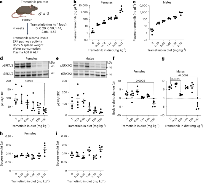 Fig. 1: Doses of trametinib that inhibit Ras/MEK/Erk signaling in vivo in mice without detrimental side effects.