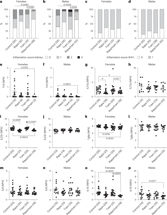 Fig. 6: Combination drug treatment reduces peripheral inflammation.