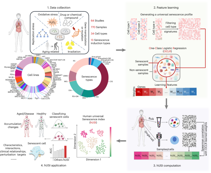 Fig. 1: Overall workflow of hUSI.
