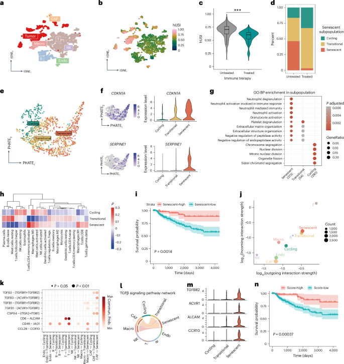 Fig. 5: hUSI identifies prognosis-related senescent tumor cells in melanoma.