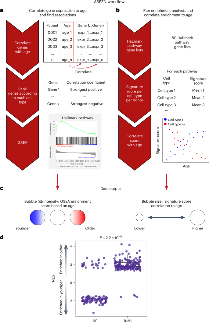 Fig. 2: Development of a single-cell ASPEN analysis pipeline and global enrichment methods.