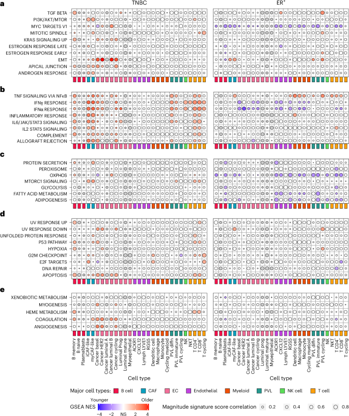 Fig. 3: Cell-specific ARPs in TNBC and ER+ breast cancer.