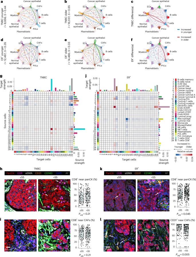 Fig. 5: Age-related cell–cell interactions in TNBC and ER+ breast cancer.