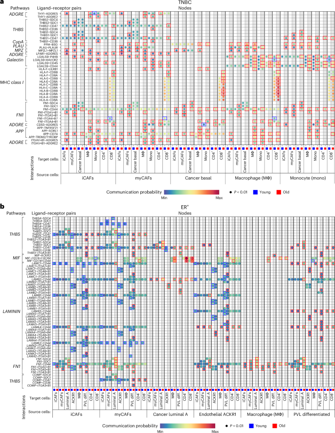 Fig. 6: Age-associated signaling nodes.