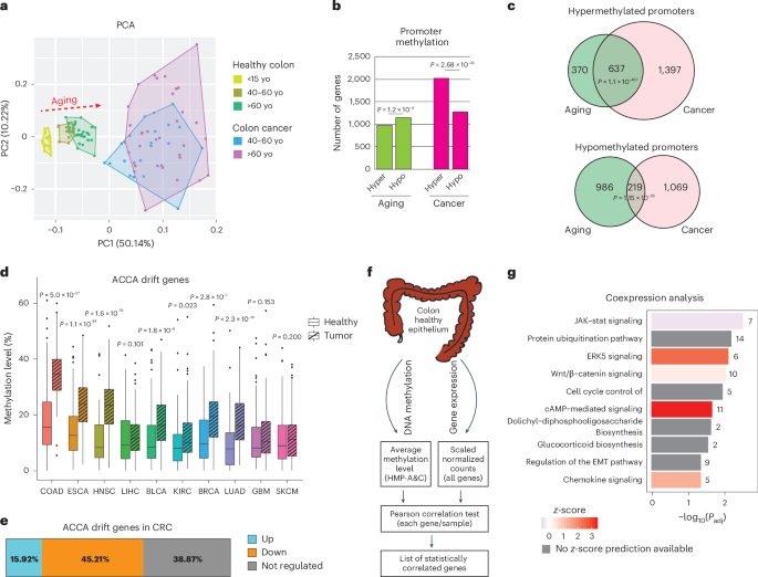Fig. 1: Colon cancer associates with epigenetically drifted cells.