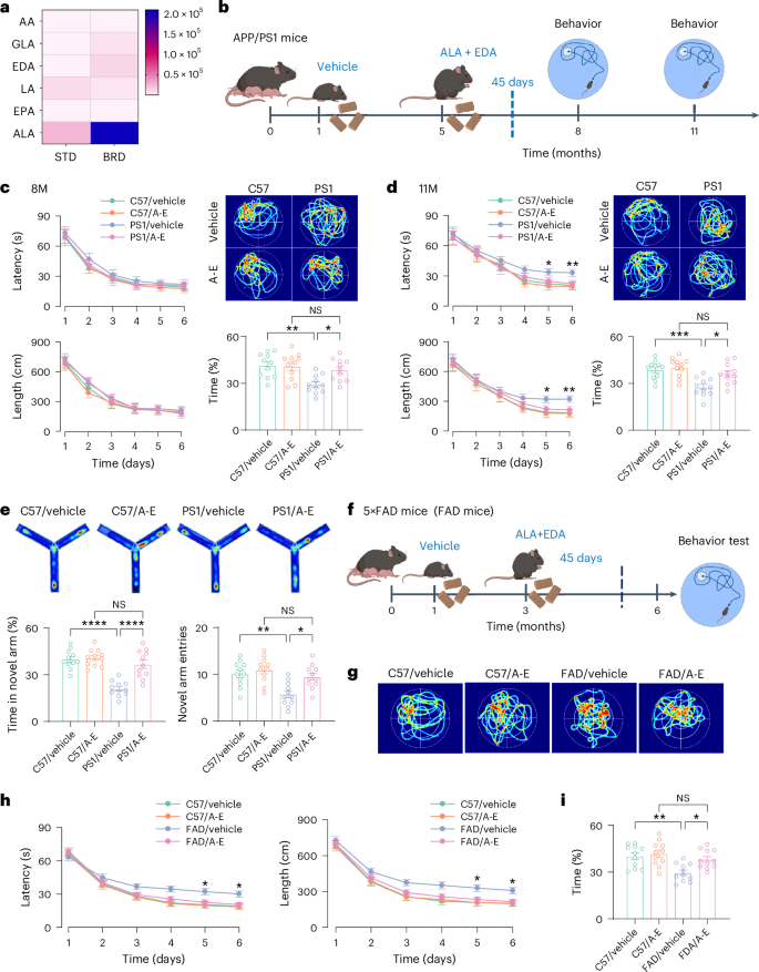 Fig. 1: Enriched ALA and EDA in BRD rescue cognition of AD mice.
