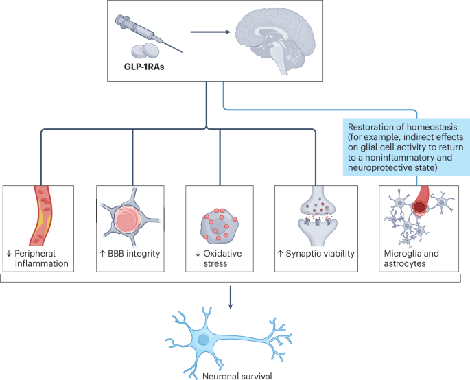 glp 1 memory issues Repurposing glucagon-like peptide-1 receptor agonists for the treatment of  neurodegenerative disorders