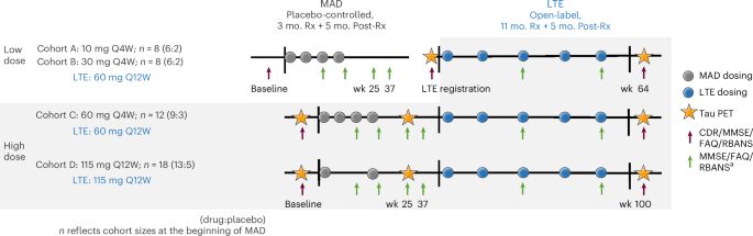 Fig. 1: MAD and LTE study design, dosing schema and clinical and tau PET measurements.