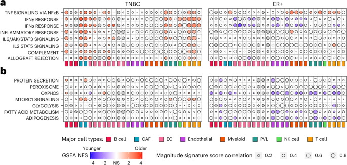Age distinguishes breast cancer cellular and molecular profiles ...