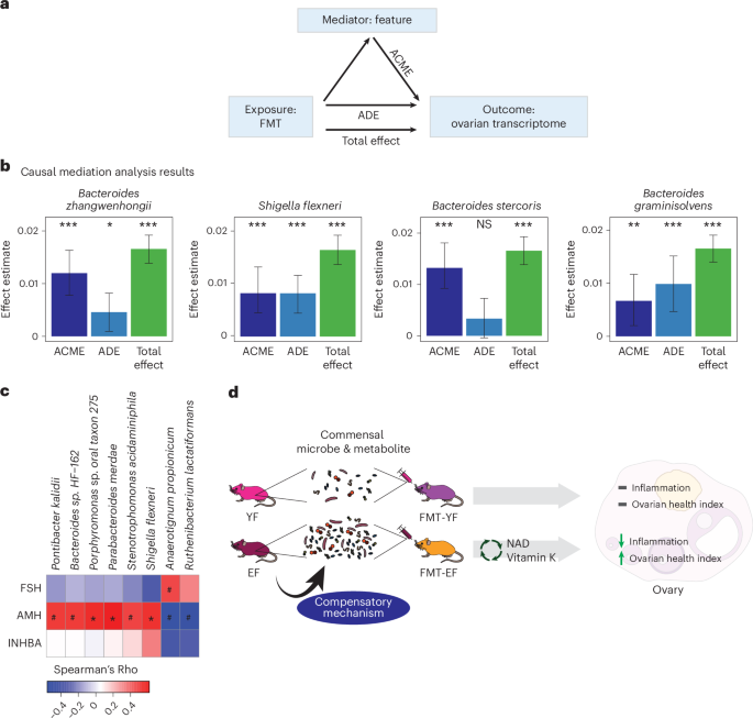 Fig. 7: Causal mediation analysis of microbial species and ovarian transcriptome changes in FMT recipient mice.
