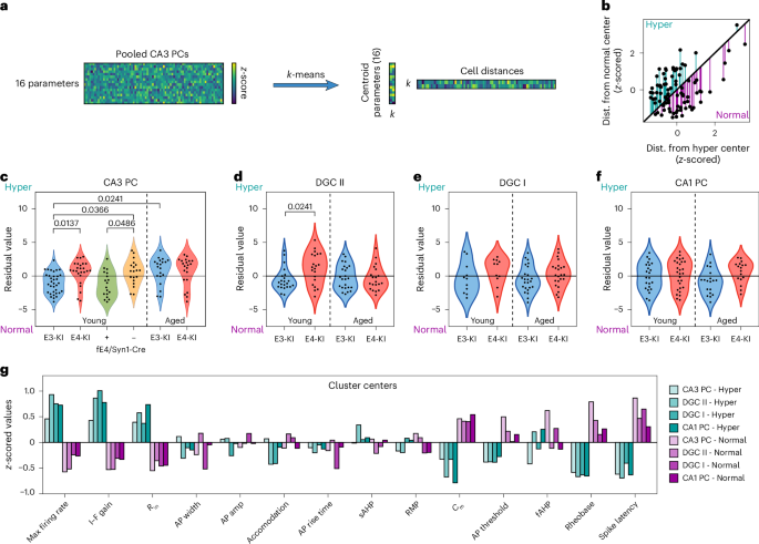 Fig. 5: Cluster analysis with k-means reveals selective vulnerability of CA3 PCs and DGCs.