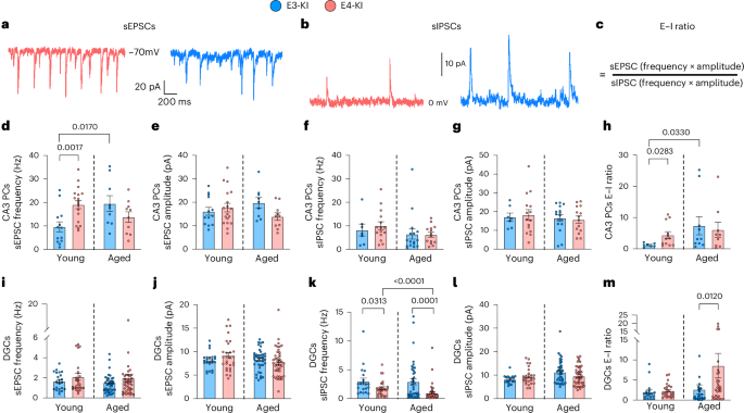 Fig. 6: APOE4-driven changes in spontaneous synaptic activity are age dependent and region dependent.