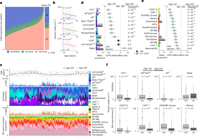 Fig. 3: Phenotypic composition of the normal breast.