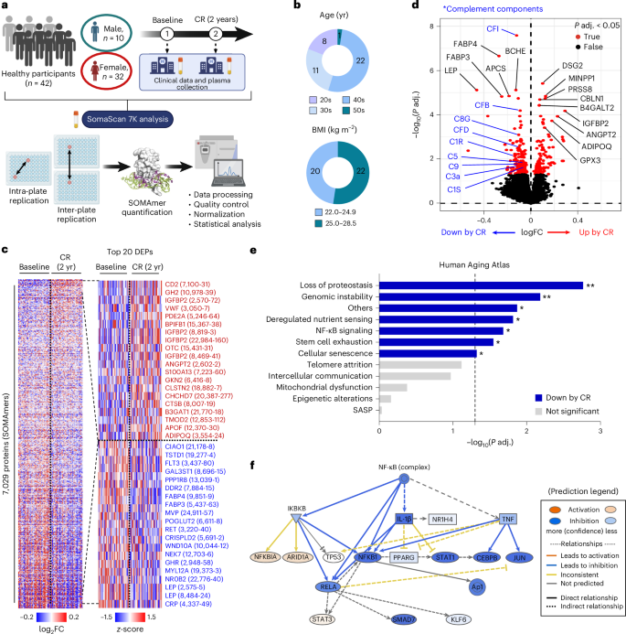 Fig. 1: CR rewires the directionality of the human exoproteome toward longevity pathways.
