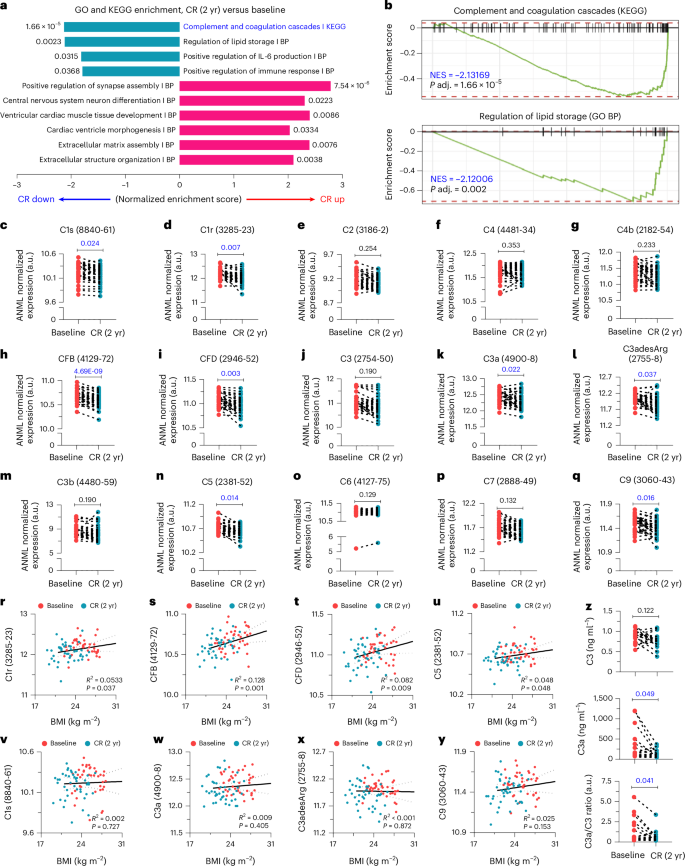 Fig. 3: CR in humans lowers complement C3a independently of BMI.