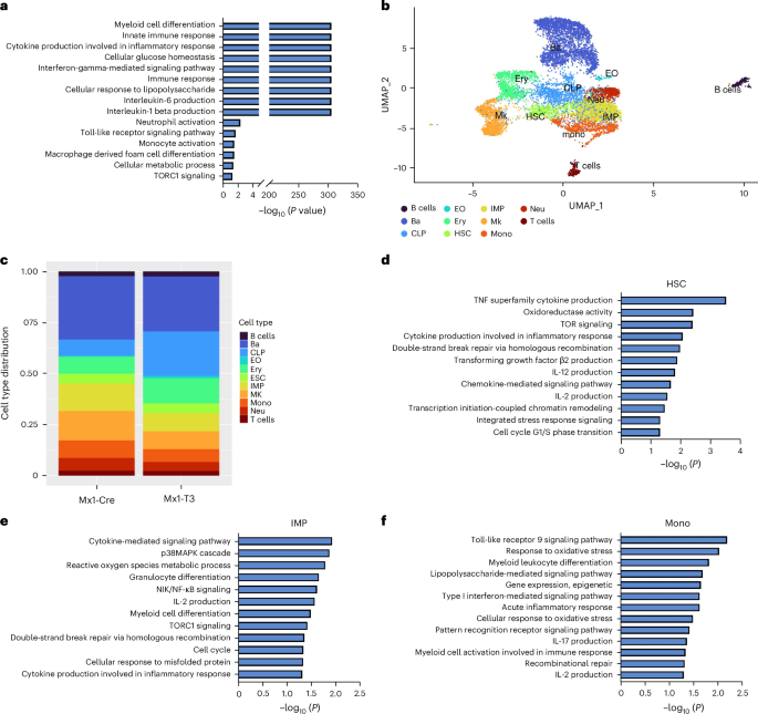 cytokines and glutathione Oxidative Stress its Role in Carcinogenesis | Cell Biochemistry and Biophysics Trained immunity links hematopoietic stem