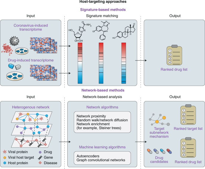 Fig. 2: Workflows of host-targeting computational drug repurposing approaches.