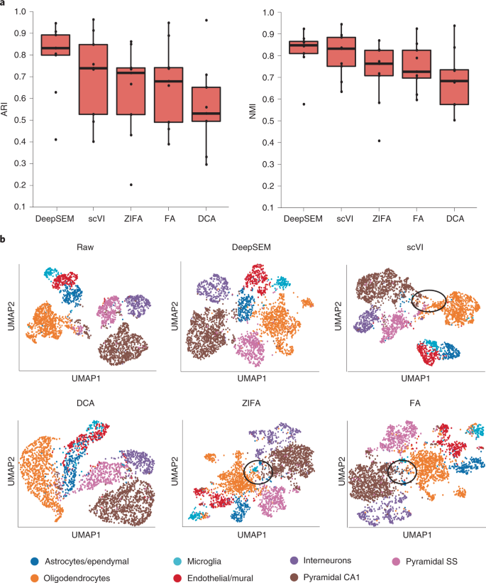 Modeling Gene Regulatory Networks Using Neural Network Architectures Nature Computational Science