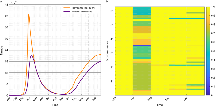 Fig. 2: Optimal economic configuration under scenario A (GDP maximization) with a hospital capacity of 18,000 beds.