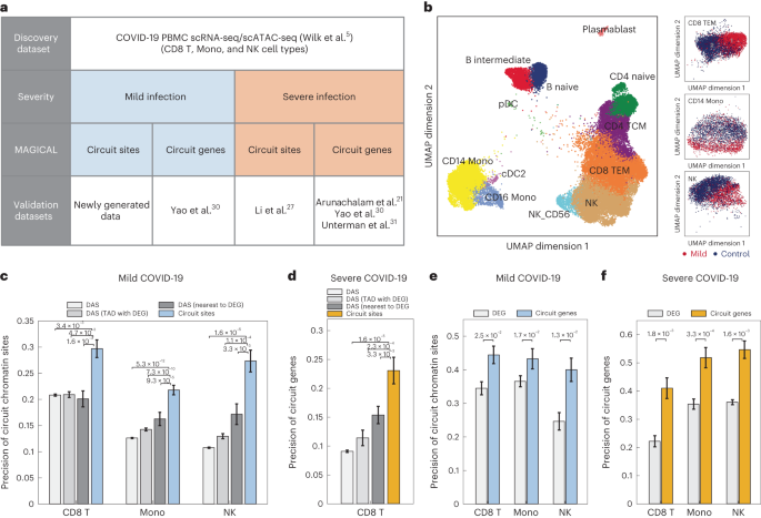 Fig. 2: Validation of COVID-19-associated circuit chromatin sites and genes.