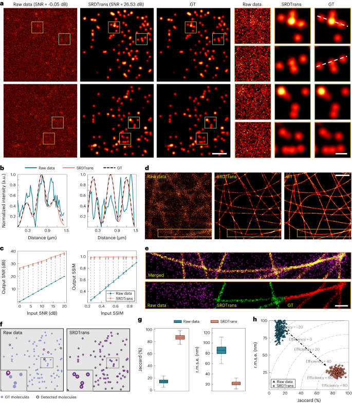 Fig. 2: Validation of SRDTrans on simulated SMLM data.