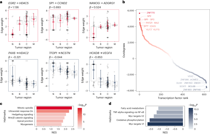 Fig. 4: Differential network analysis of epithelial cells during colorectal cancer progression.