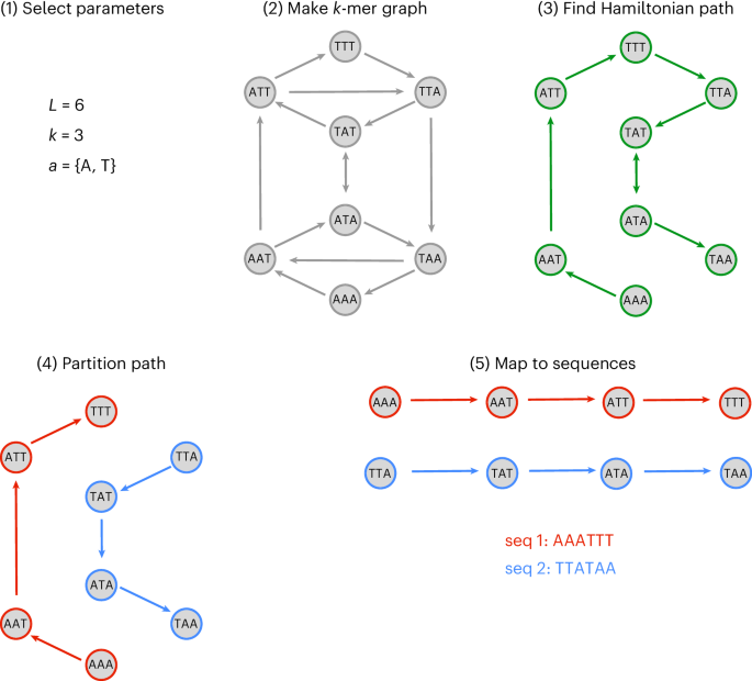 Fig. 1: Workflow of graph-based sequence design algorithm.