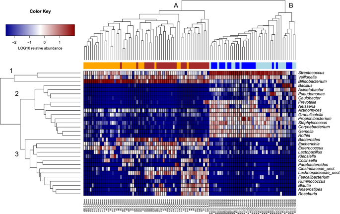 Fig. 3: Clustering of bacterial composition in hindmilk and infant’s feces.