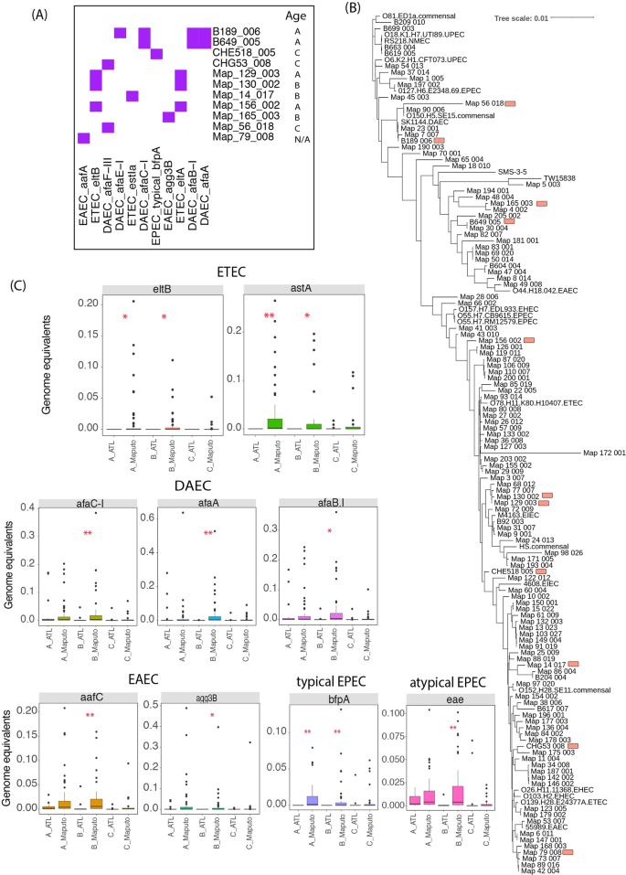 Fig. 3: E. coli MAG pathotypes recovered in Maputo and Atlanta datasets.
