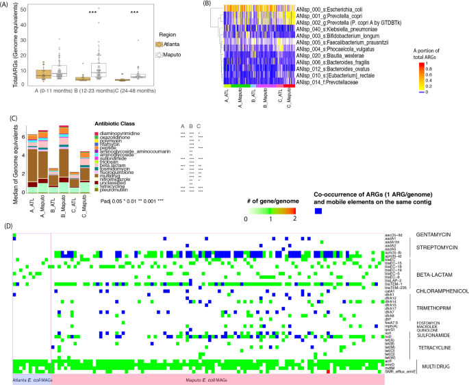 Fig. 4: Antibiotic resistance gene (ARG) abundance and prevalence in children microbiomes.