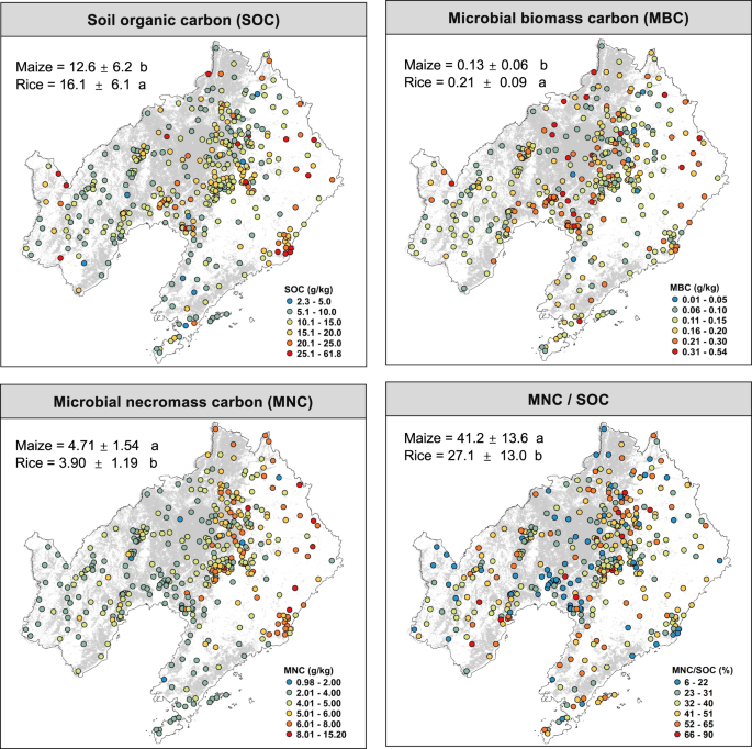 Fig. 1: Geographical distribution of soil and microbial carbon pools.