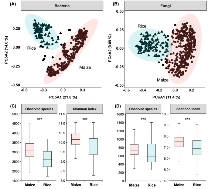 Fig. 2: Soil microbial community composition and diversity.
