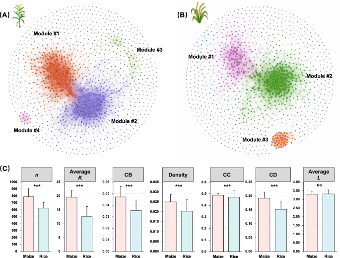 Fig. 3: The microbial community network of soil bacteria and fungi.