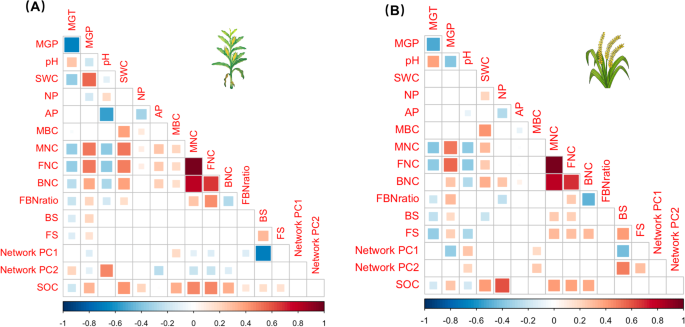 Fig. 4: Investigate the correlation between soil organic carbon and its predictors.