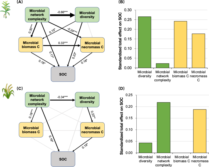 Fig. 6: Structural equation modeling describing the roles of microbial community and C pools in predicting soil organic carbon.