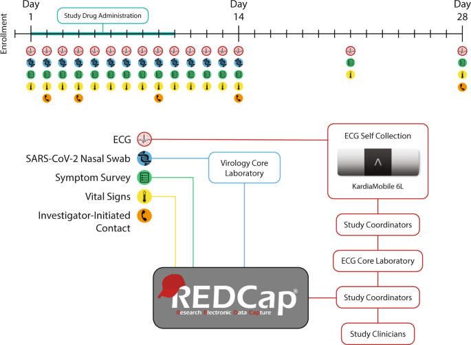 Fig. 1: Timeline of participant study drug administration and data collection with schematic demonstrating data processing and storage.